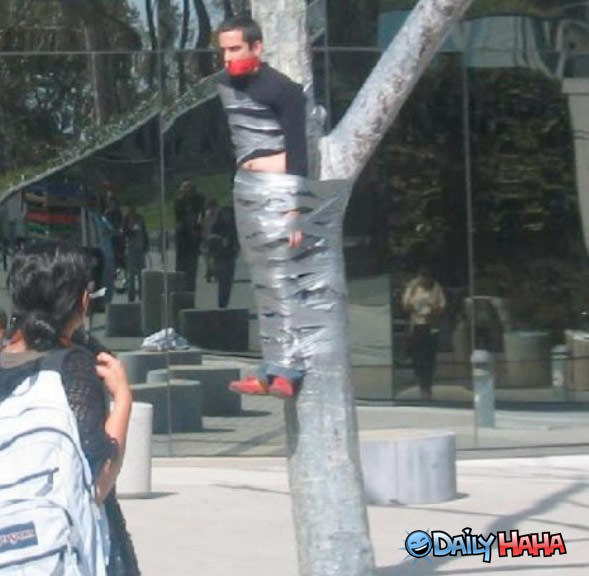 Duct tape to a Tree
