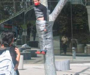 Duct tape to a Tree
