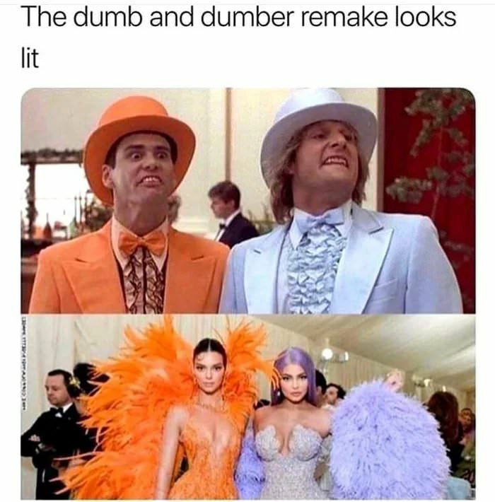 dumb and dumber remake