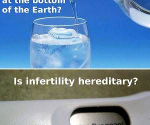 dumbest puns funny picture