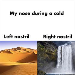 during a cold