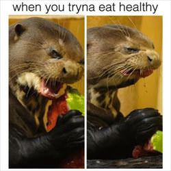 eating healthy ... 2