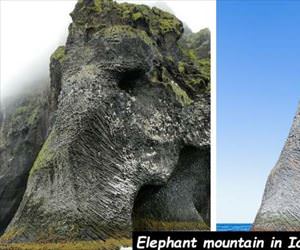 elephant mountain