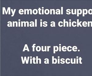 emotional support animal