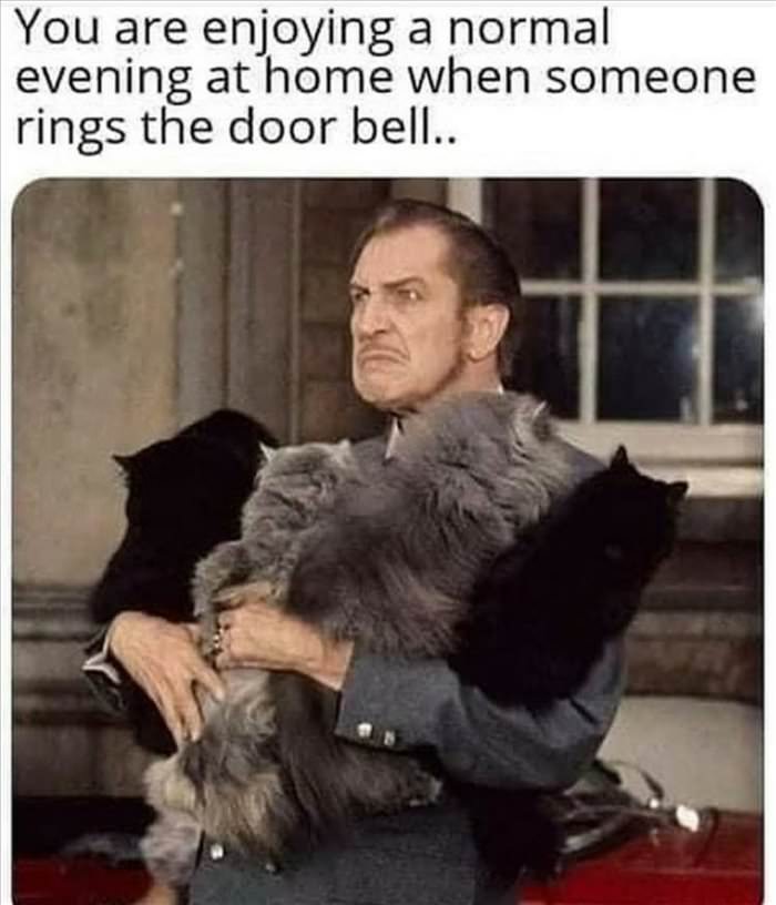 enjoying a normal night