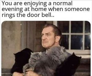 enjoying my normal evening