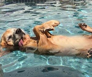 enjoying the pool