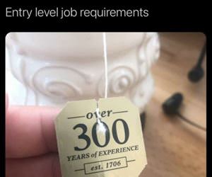 entry level job experience