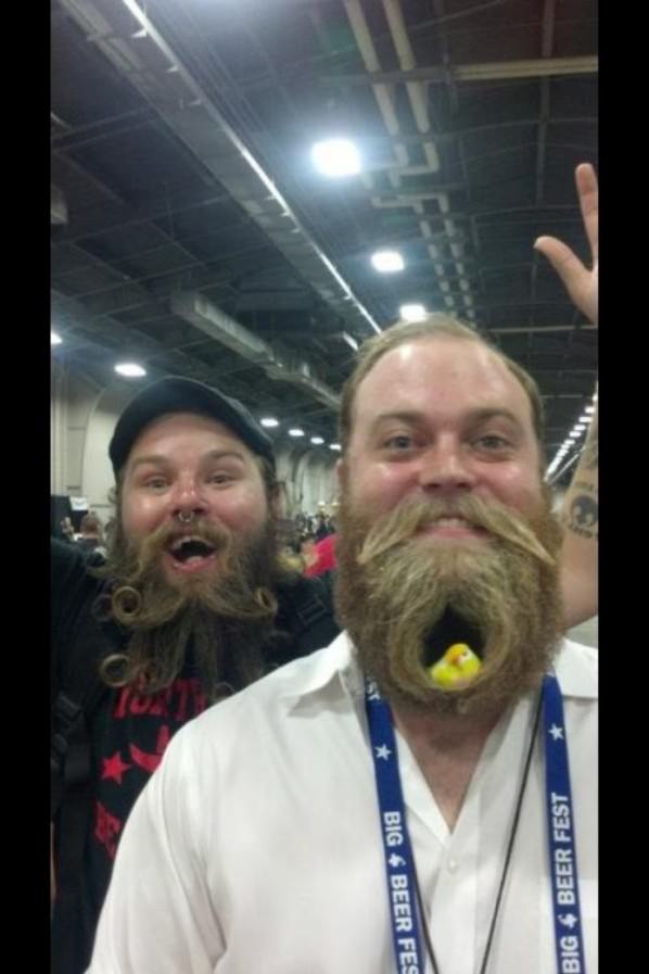 Beard Nest funny picture