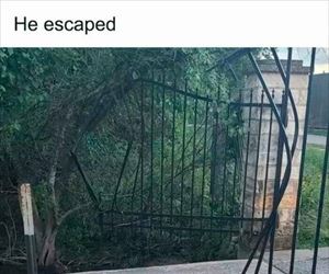escaped