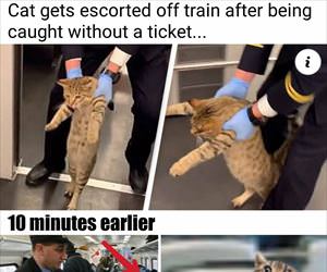 escorted off the train