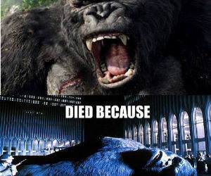 King Kong funny picture