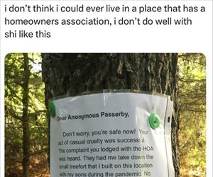 ever live in a place