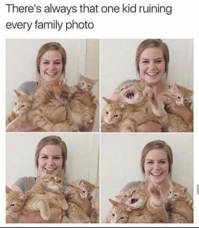 every family photo