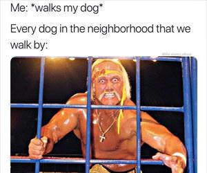 every other dog
