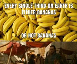 every single thing on earth