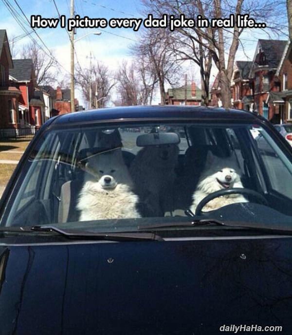 every dad joke funny picture