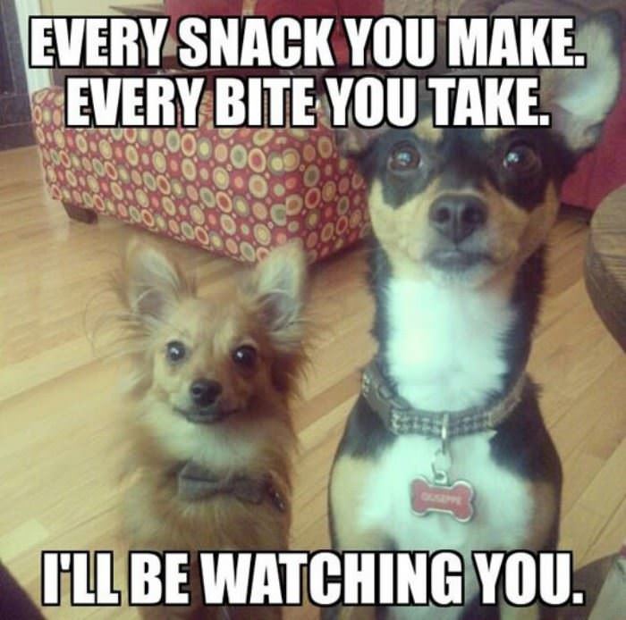 every snack you make funny picture