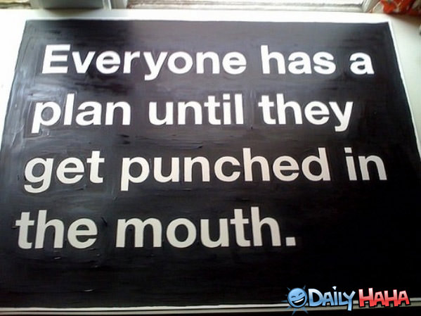 Everyone Has a Plan funny picture