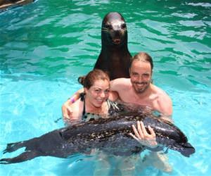 everyone smile funny picture