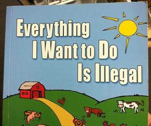 everything i want to do