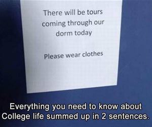 everything you need to know funny picture