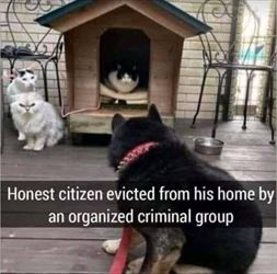 evicted