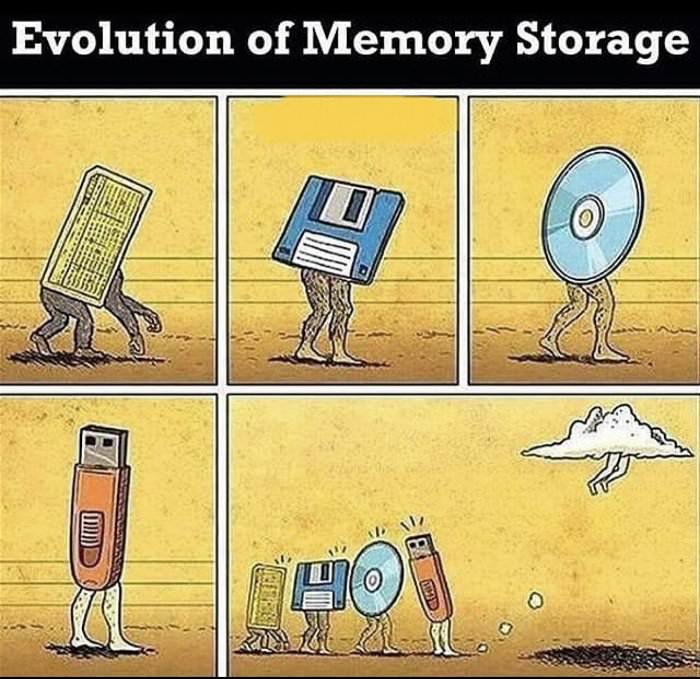 evolution of memory