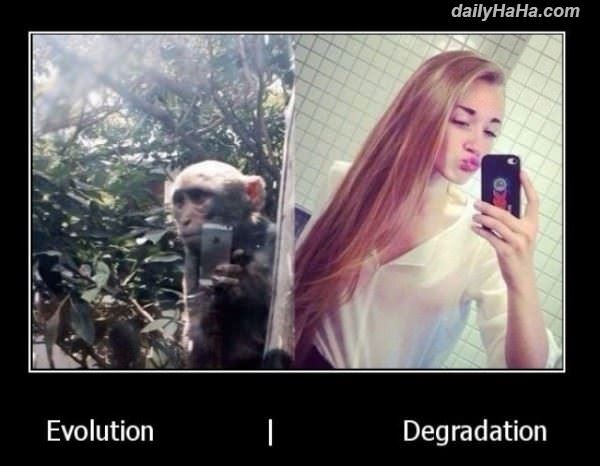 evolution funny picture
