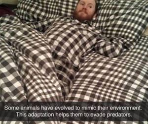 evolve and adapt funny picture
