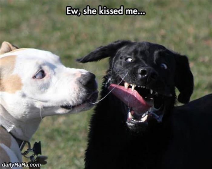 ewwww she kissed me funny picture