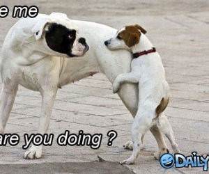 Excuse Me funny picture