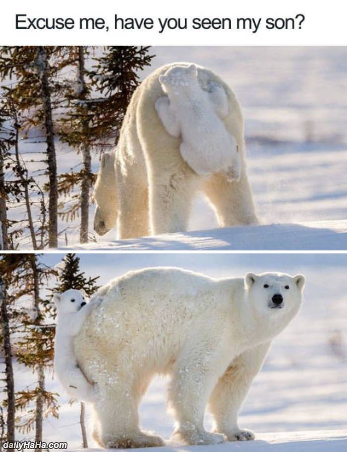 excuse me have you seen my son funny picture