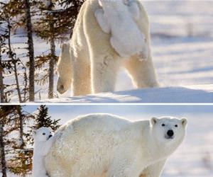 excuse me have you seen my son funny picture