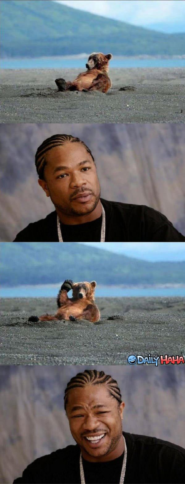 Exhibit Bear funy pictures