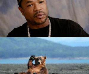 Exhibit Bear funy pictures