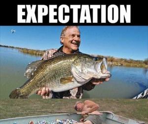 expectations and reality