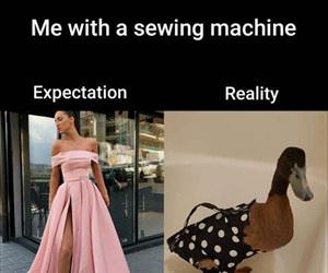 expectations vs reality ... 2