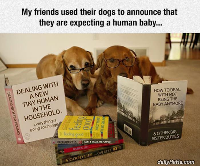 expecting funny picture