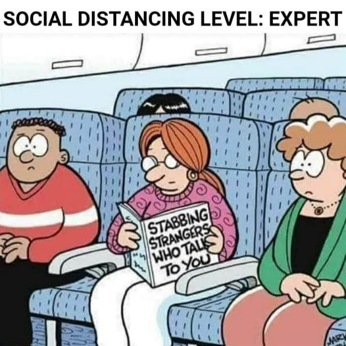 expert