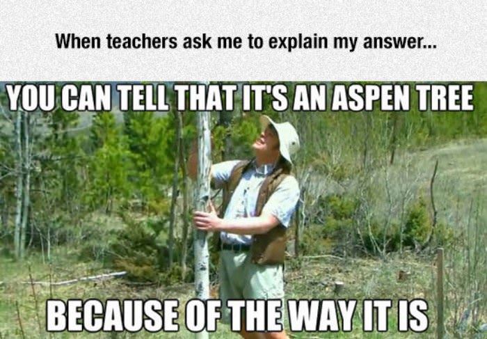 explain your answer funny picture