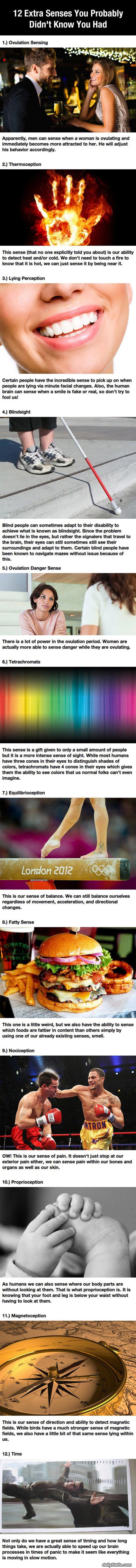 extra senses funny picture