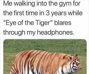 eye of the tiger