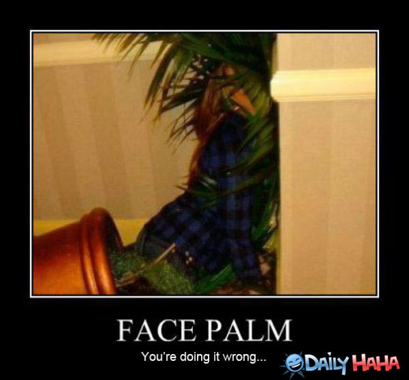 Face Palm funny picture