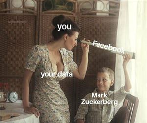 facebook in a nutshell