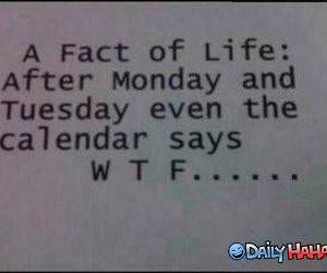Fact of Life funny picture