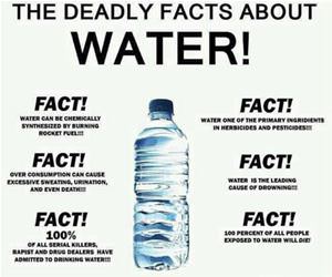 facts about water funny picture