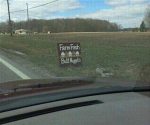 farm fresh nuggets funny picture