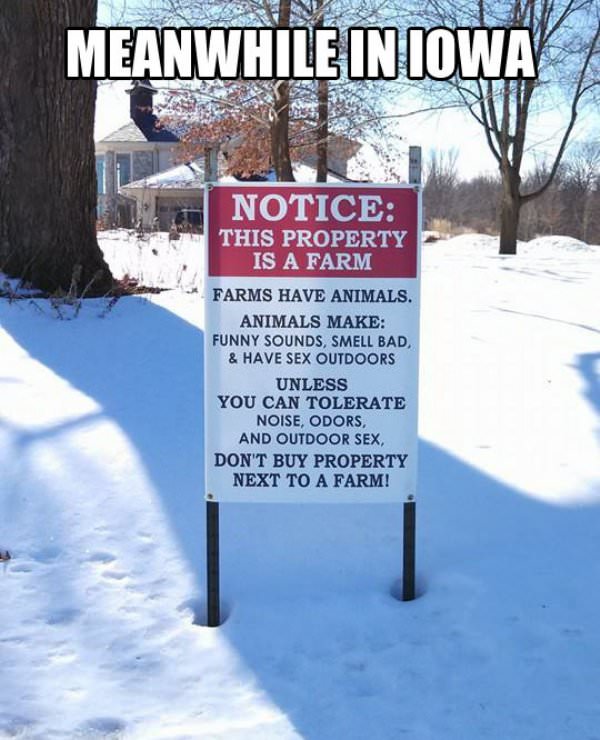 Farms Have Animals funny picture