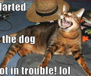 Blamed it on the Dog